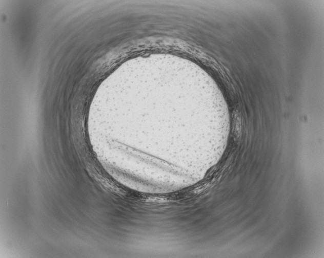 X0000087691489200706011706