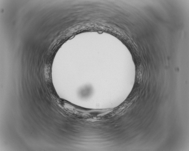 X0000087691490200706011706