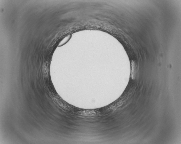 X0000087691491200706011706