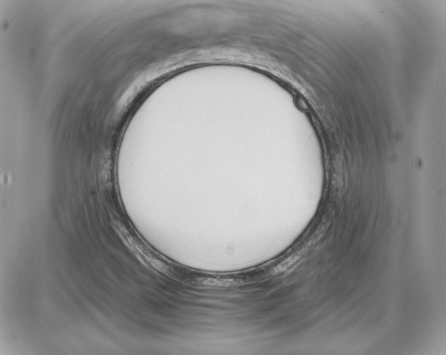 X0000087691499200706011706