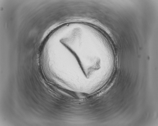 X0000087691501200706011706