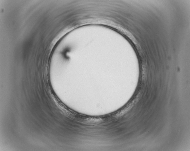 X0000087691513200706011706