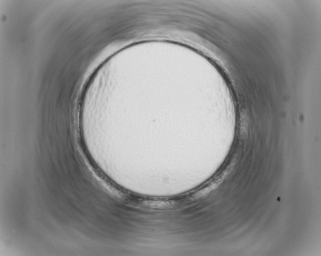 X0000087691517200706011706