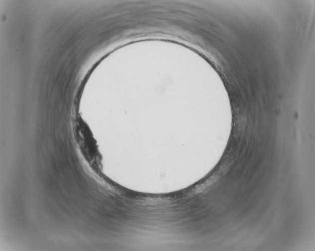 X0000087691518200706011706