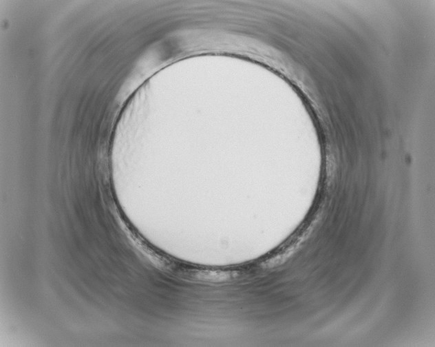 X0000087691521200706011706