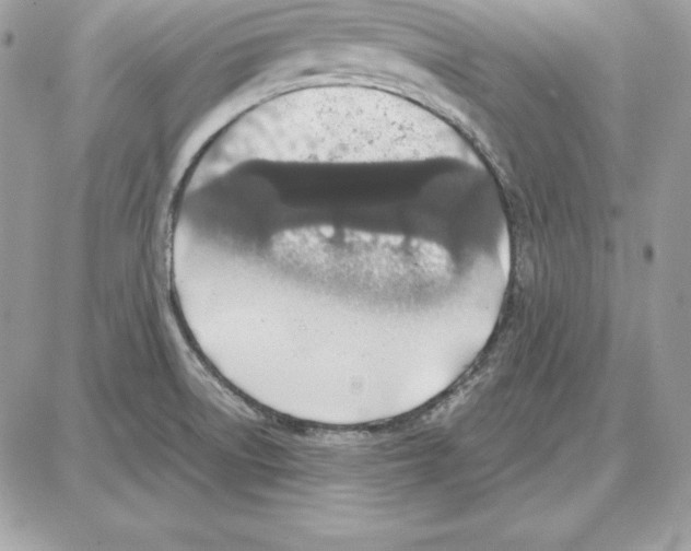 X0000087691522200706011706