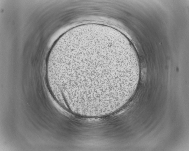 X0000087691523200706011706