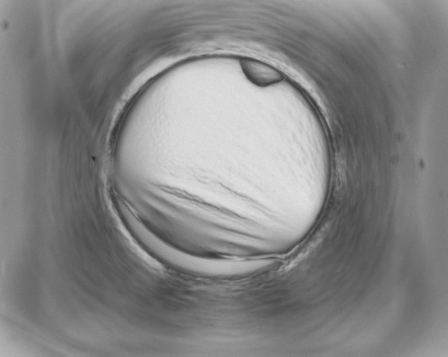 X0000087691525200706011706