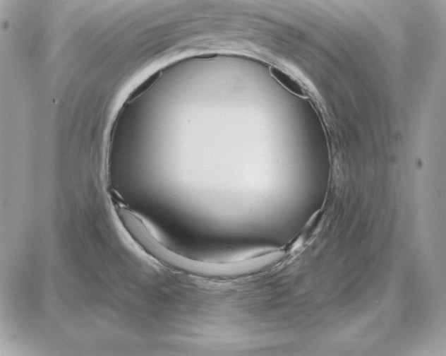 X0000087691528200706011706