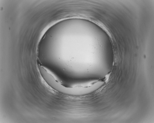 X0000087691532200706011706