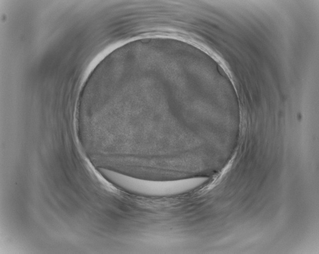 X0000087691533200706011706