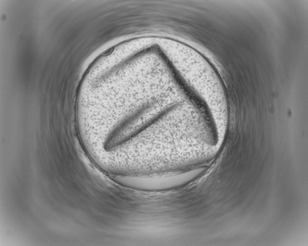 X0000087691534200706011706