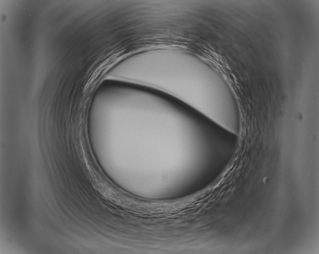 X0000087700001200705040903