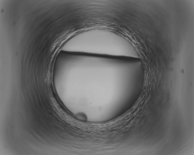 X0000087700002200705040903