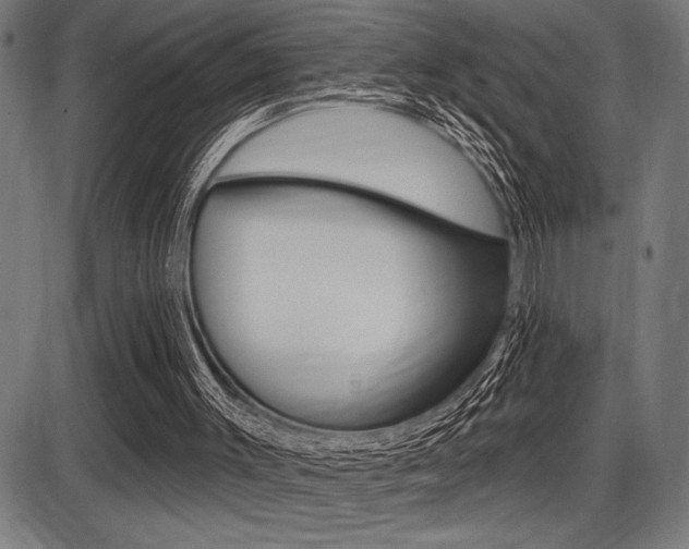 X0000087700003200705040903