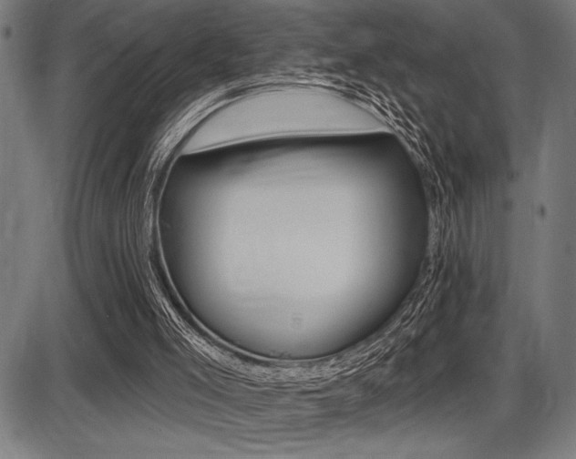 X0000087700005200705040903