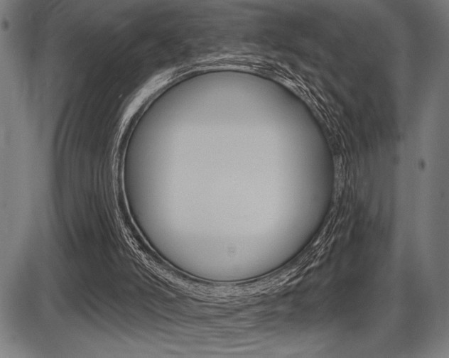 X0000087700006200705040903