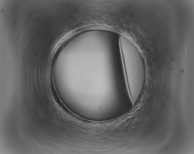 X0000087700007200705040903