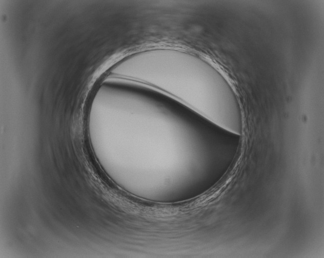 X0000087700008200705040903
