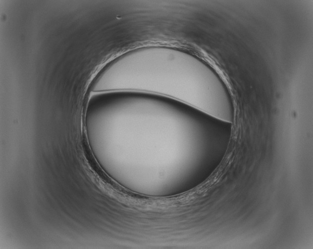 X0000087700011200705040903
