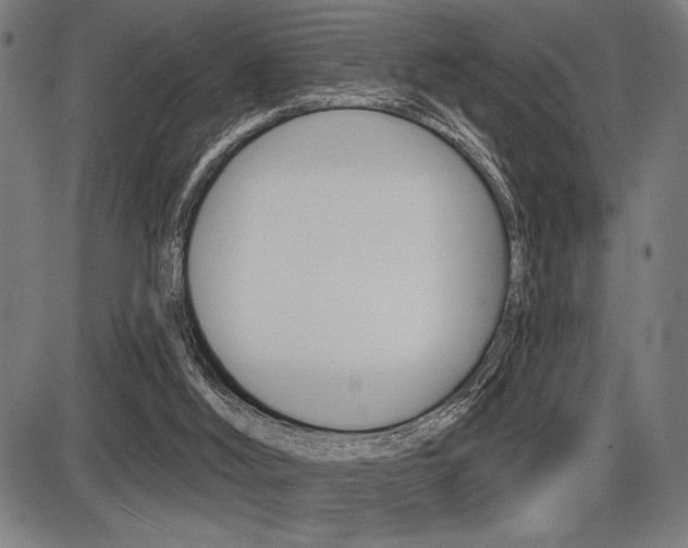 X0000087700012200705040903