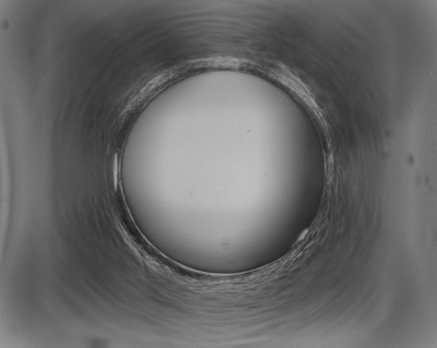 X0000087700013200705040903