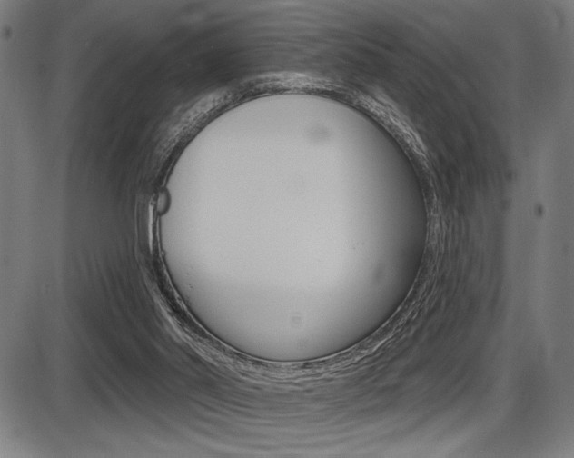 X0000087700014200705040902