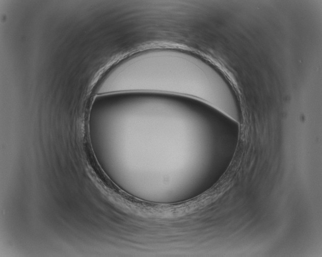 X0000087700015200705040902