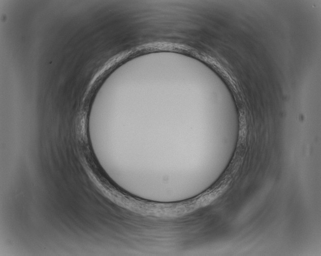 X0000087700016200705040902