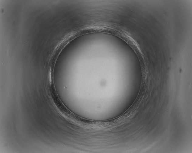 X0000087700020200705040902