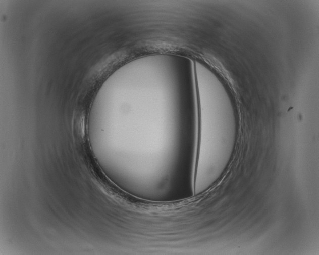 X0000087700021200705040902