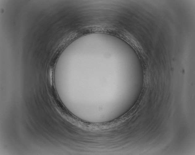 X0000087700022200705040902
