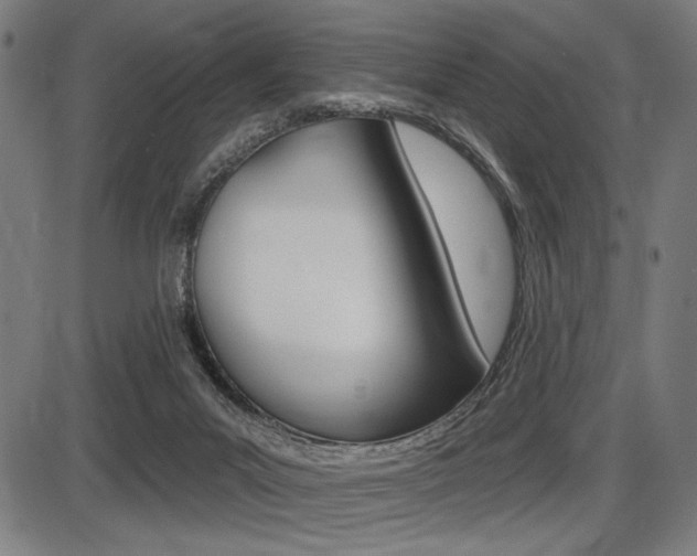 X0000087700023200705040902