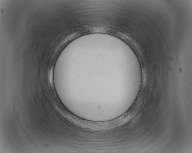 X0000087700028200705040902