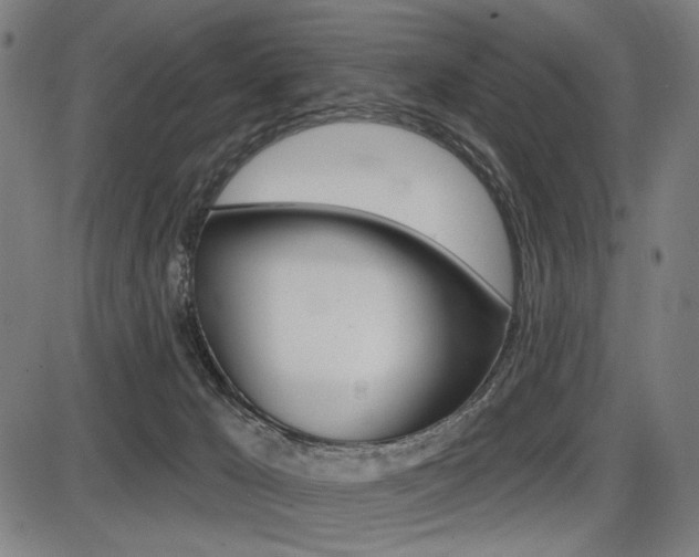 X0000087700029200705040902