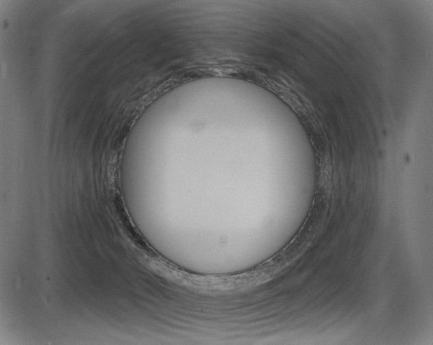 X0000087700030200705040902