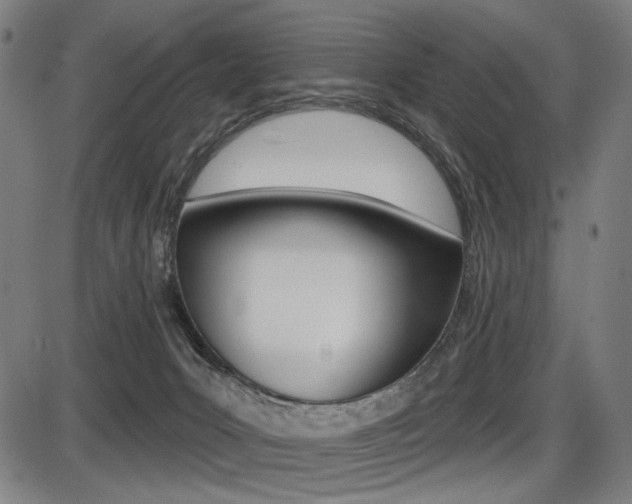 X0000087700031200705040902