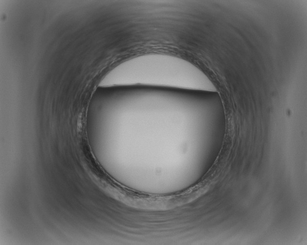 X0000087700032200705040902