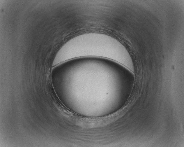 X0000087700033200705040902