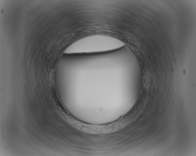 X0000087700034200705040902