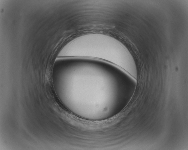 X0000087700035200705040902