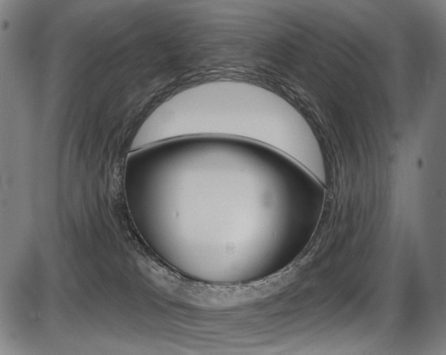X0000087700037200705040902