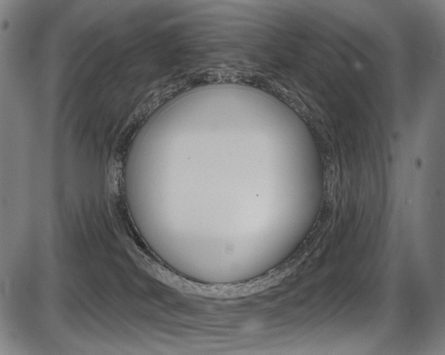 X0000087700038200705040902