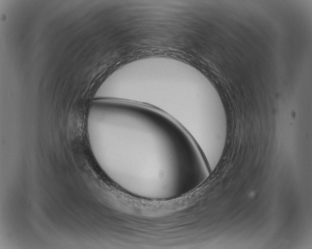 X0000087700039200705040902