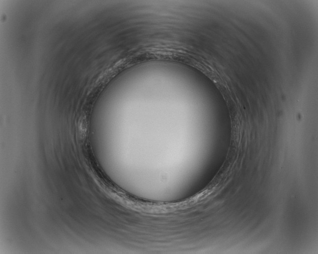 X0000087700040200705040902