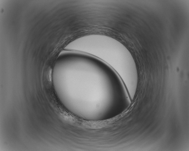 X0000087700041200705040902