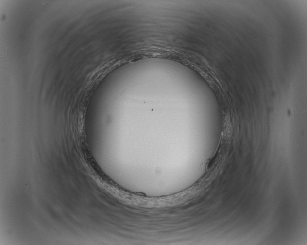 X0000087700043200705040902