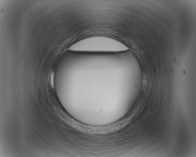 X0000087700046200705040902