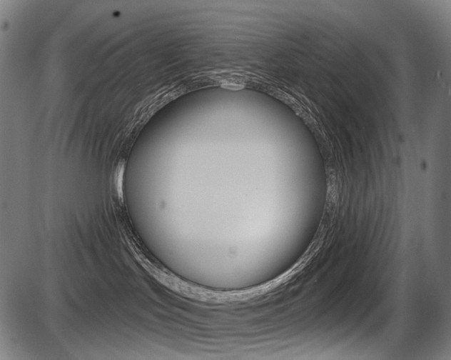 X0000087700047200705040902