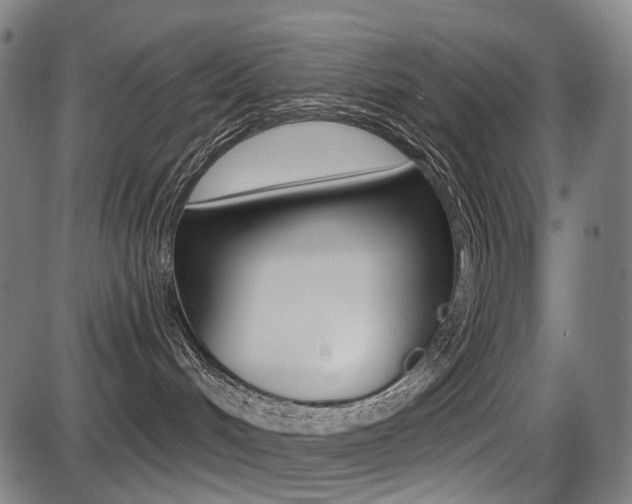 X0000087700048200705040902